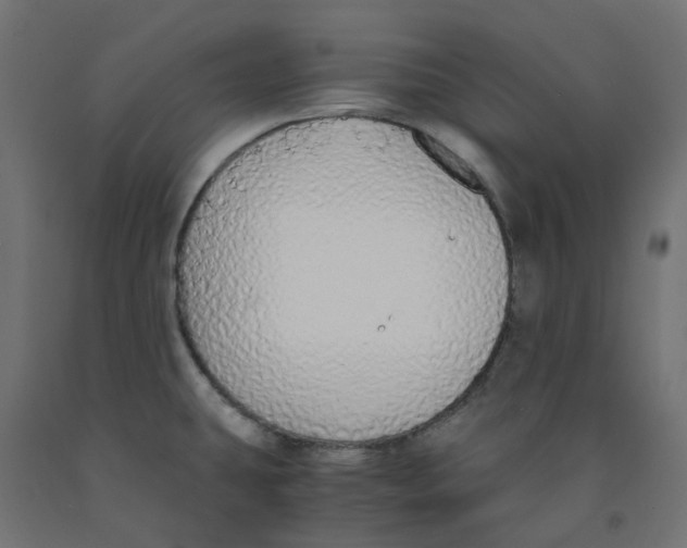 X0000091861431200710031652