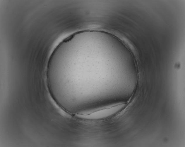 X0000091861432200710031652