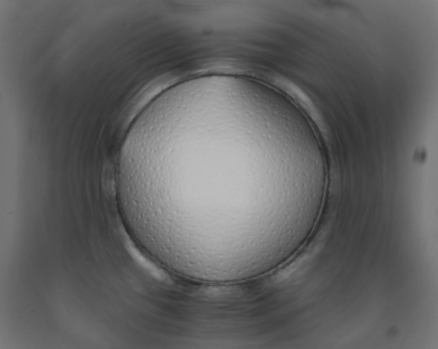 X0000091861433200710031652