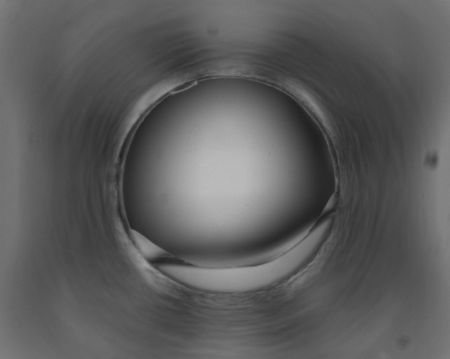 X0000091861434200710031652