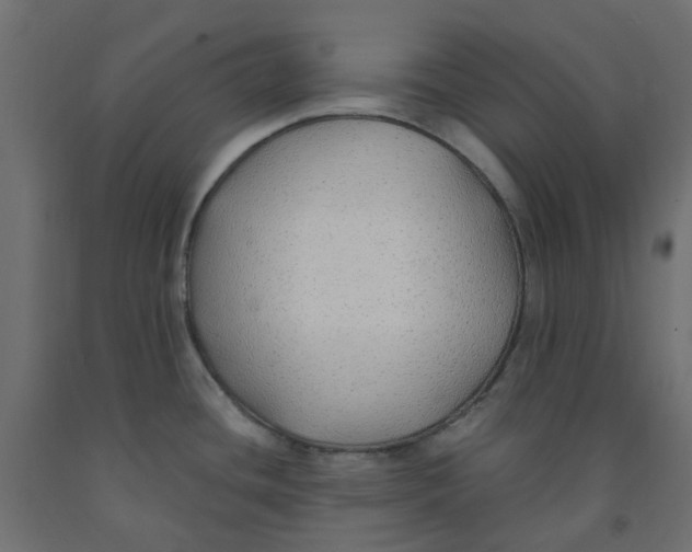 X0000091861436200710031652