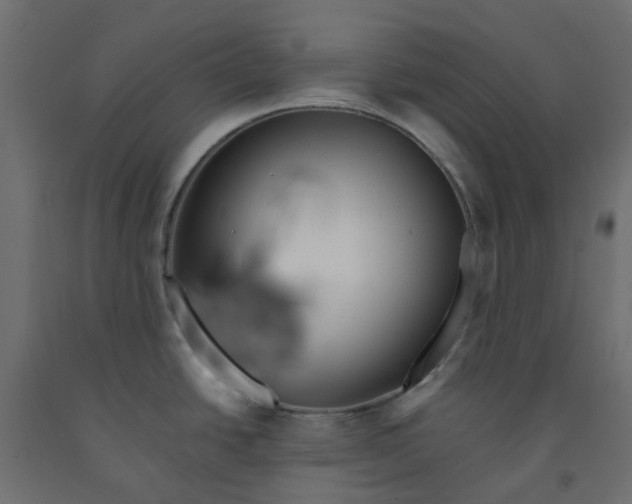 X0000091861438200710031652