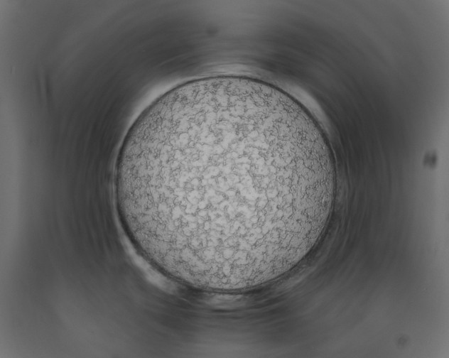 X0000091861439200710031652