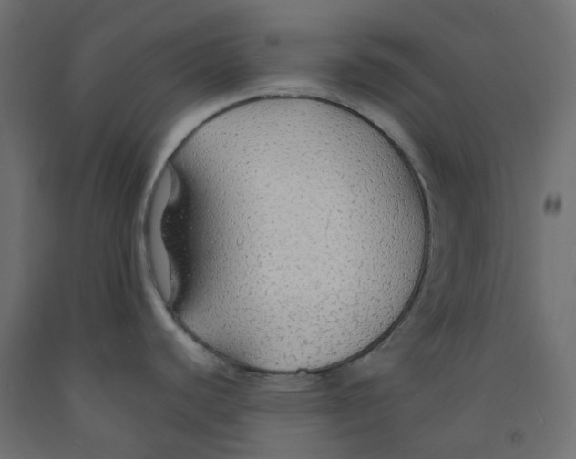 X0000091861440200710031652