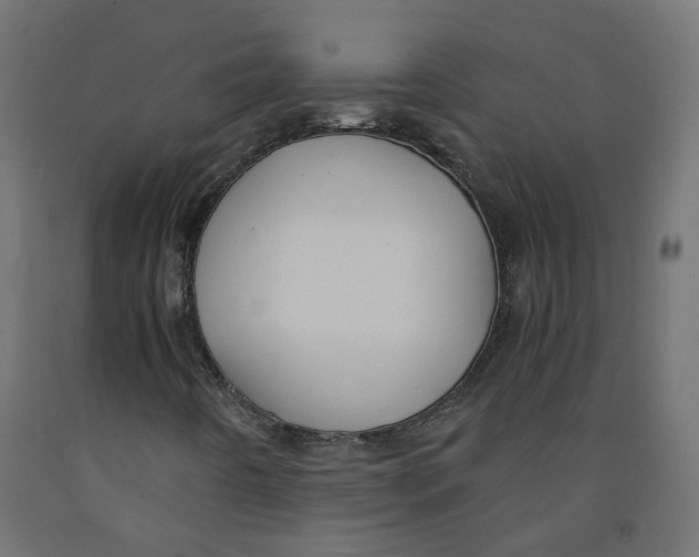 X0000091861442200710031652