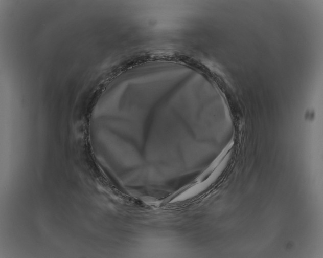 X0000091861445200710031652