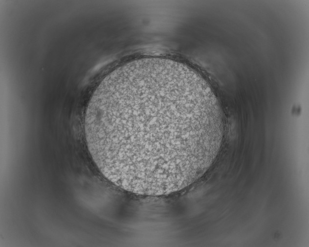 X0000091861446200710031652