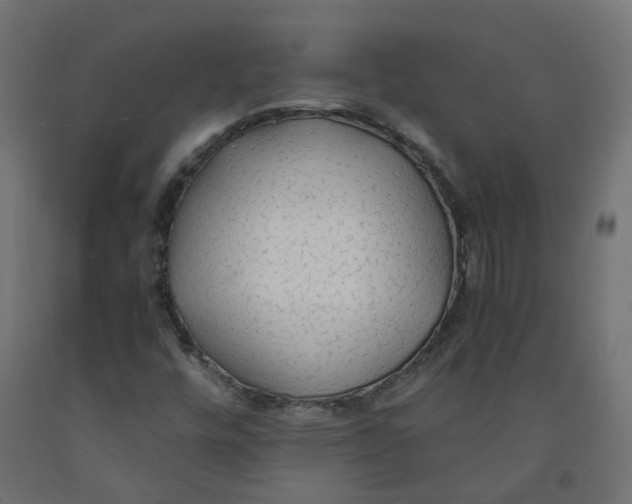 X0000091861448200710031652