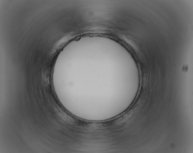 X0000091861451200710031652