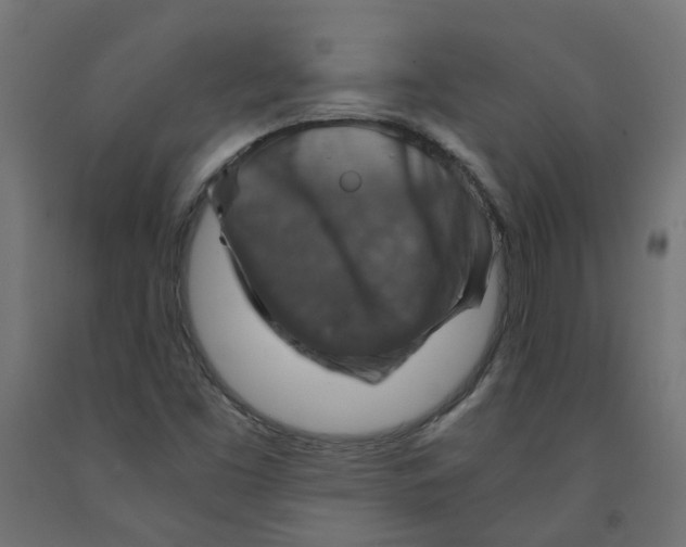 X0000091861453200710031652