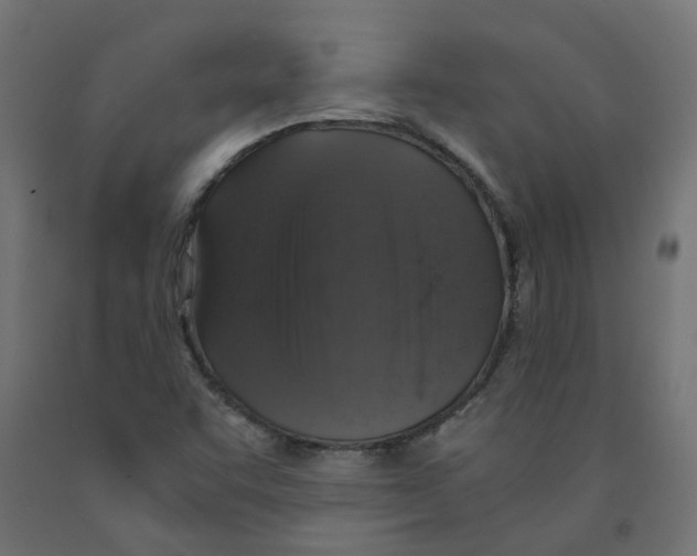 X0000091861455200710031652