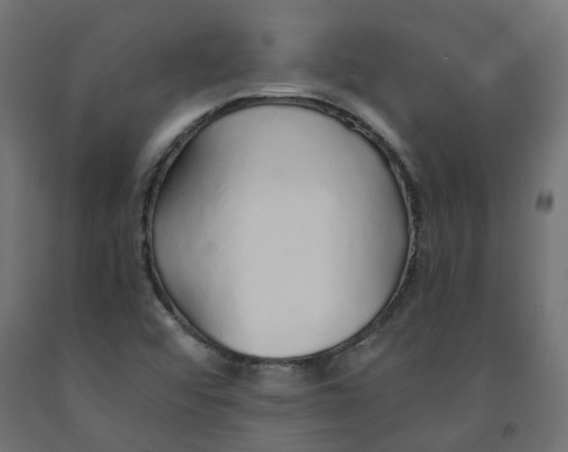 X0000091861456200710031652