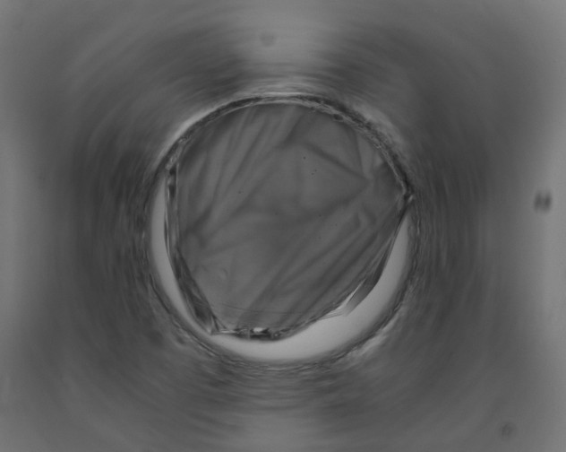 X0000091861457200710031652