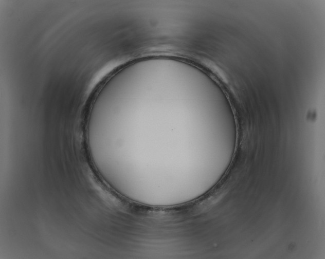 X0000091861458200710031652