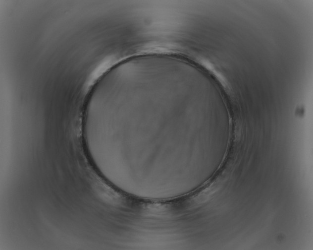 X0000091861459200710031652