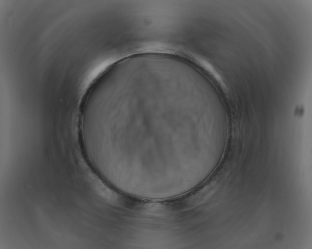 X0000091861463200710031652