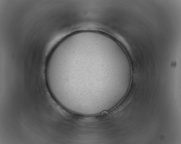 X0000091861464200710031652