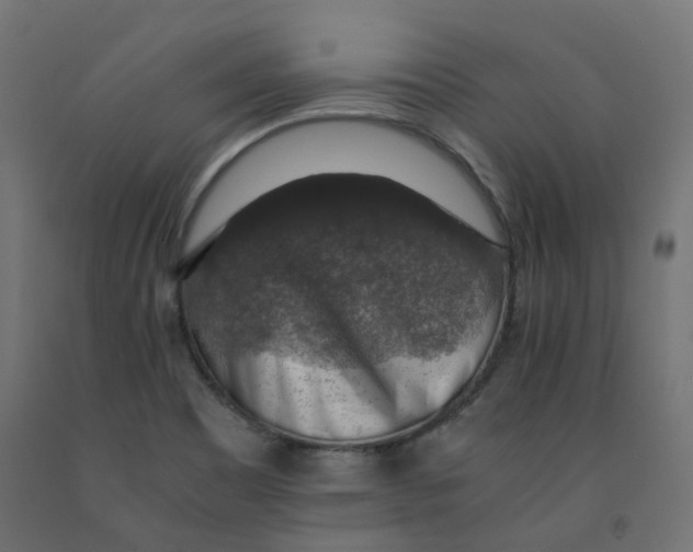 X0000091861465200710031652