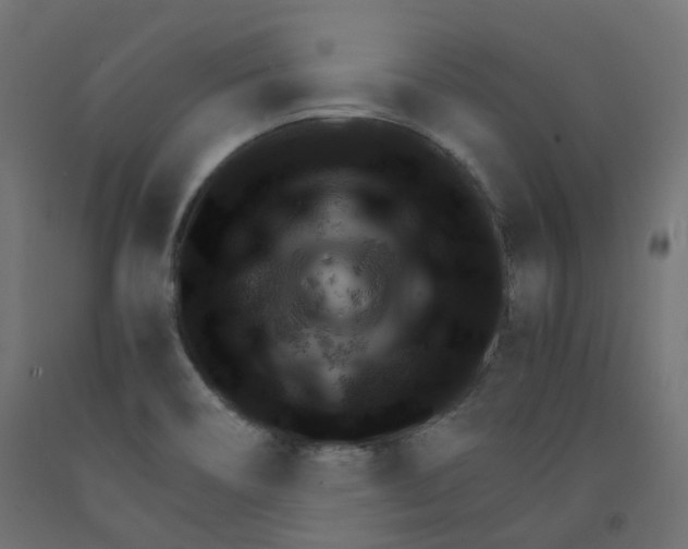 X0000091861466200710031652