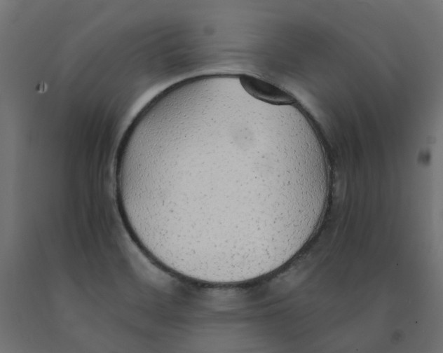 X0000091861468200710031652