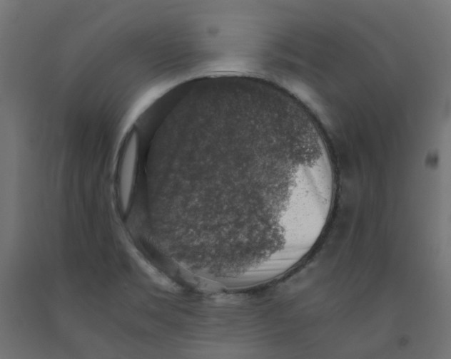 X0000091861469200710031651