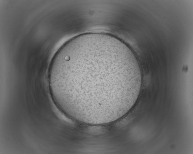 X0000091861470200710031651