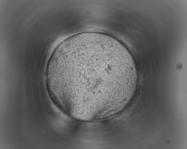 X0000091861471200710031651