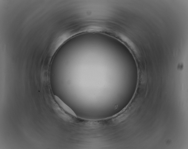 X0000091861473200710031651