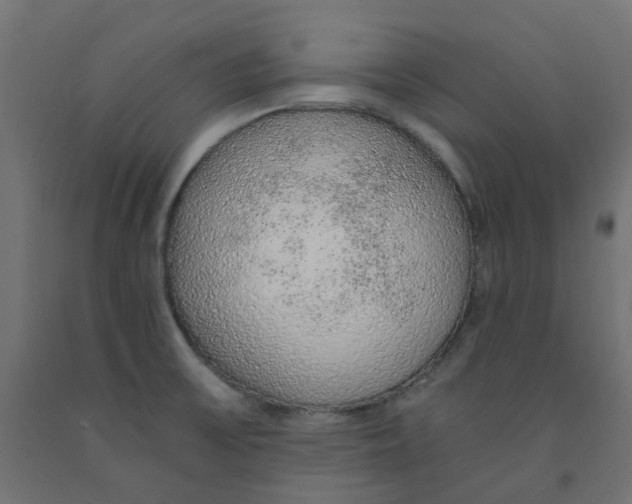 X0000091861475200710031651