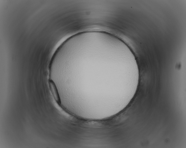 X0000091861476200710031651