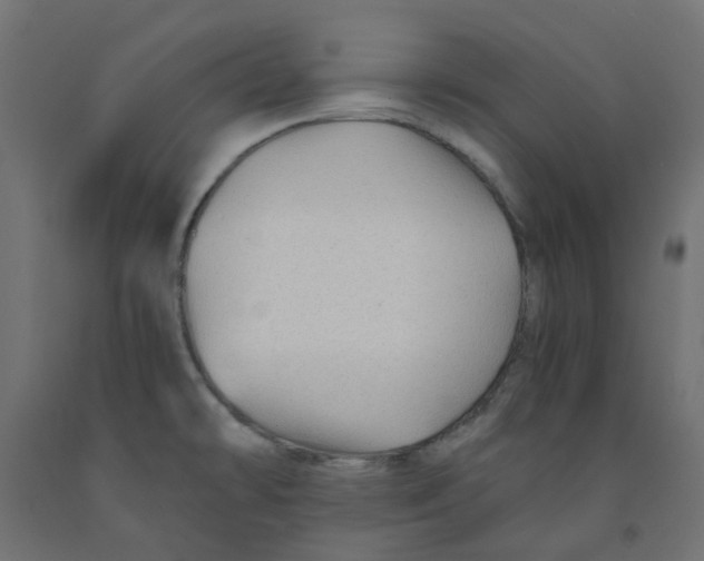 X0000091861478200710031651