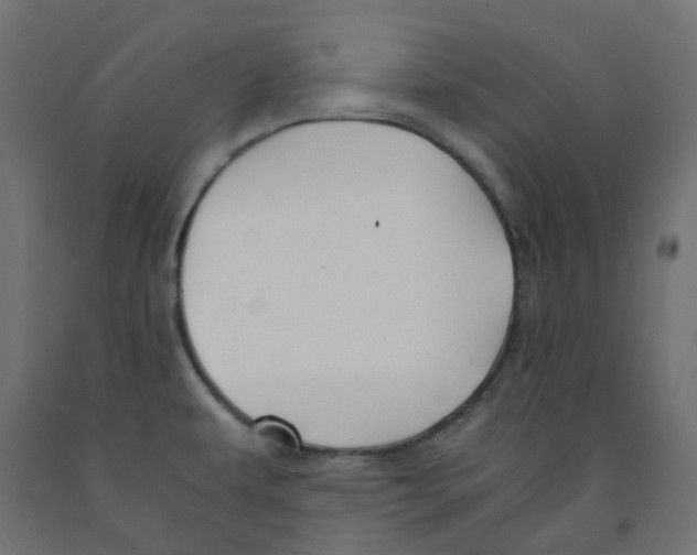 X0000091861479200710031651