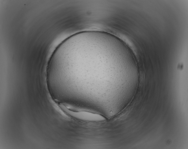 X0000091861480200710031651