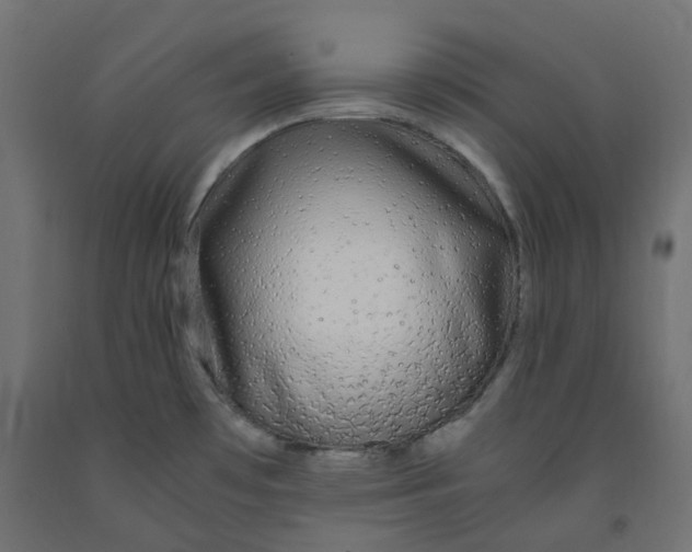 X0000091861481200710031651