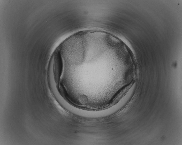 X0000091861485200710031651