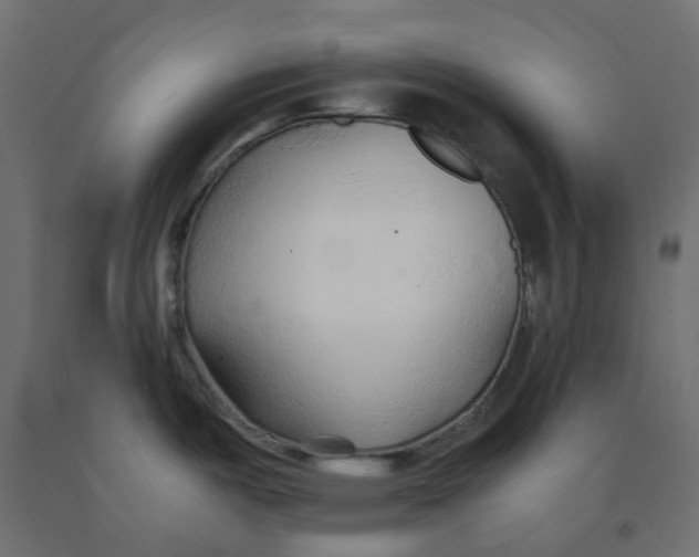 X0000091861487200710031651