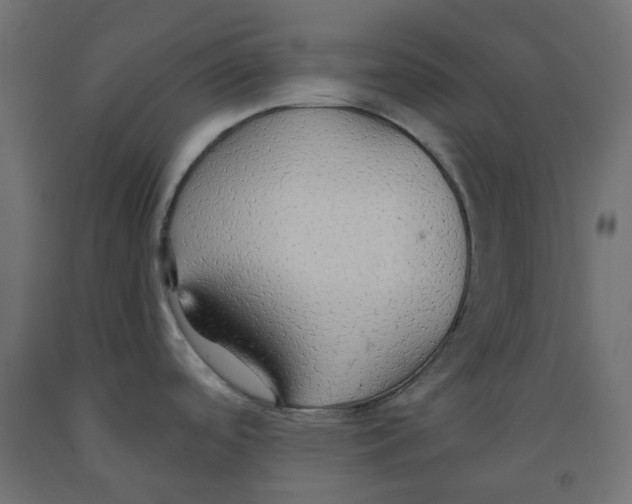 X0000091861488200710031651