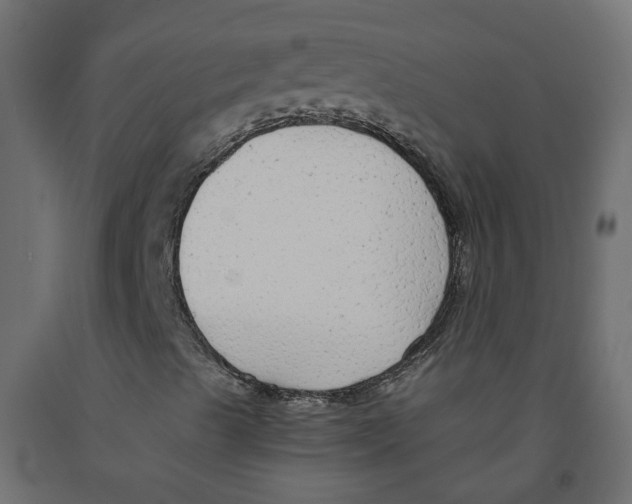 X0000091861489200710031651