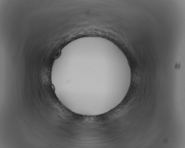 X0000091861490200710031651