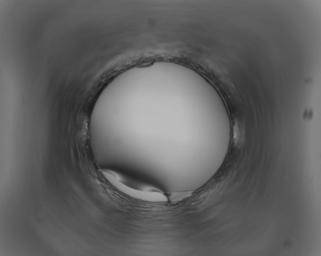 X0000091861492200710031651