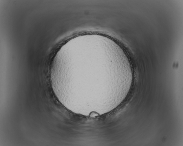 X0000091861494200710031651