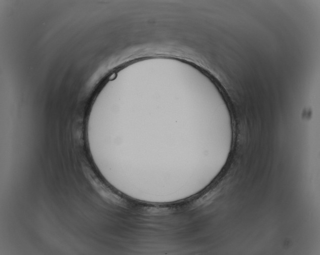 X0000091861499200710031651