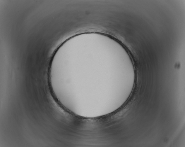 X0000091861500200710031651