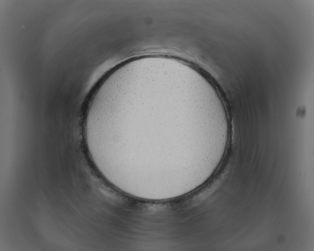 X0000091861501200710031651