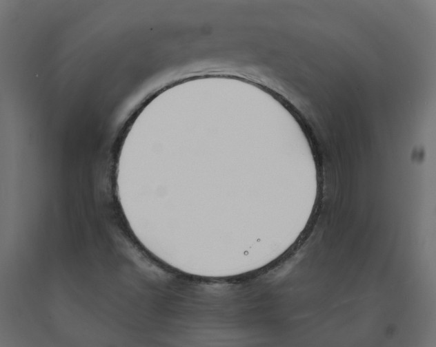 X0000091861502200710031651