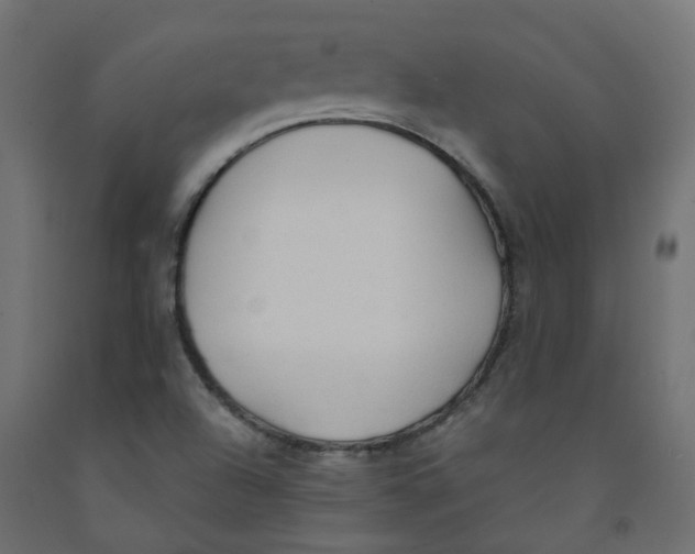 X0000091861504200710031651