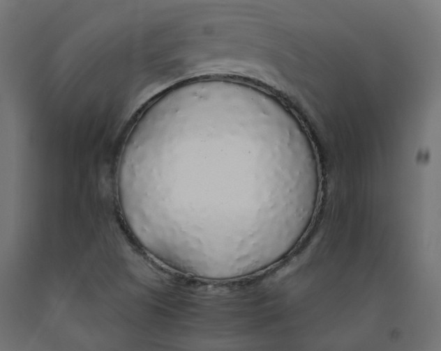 X0000091861505200710031651