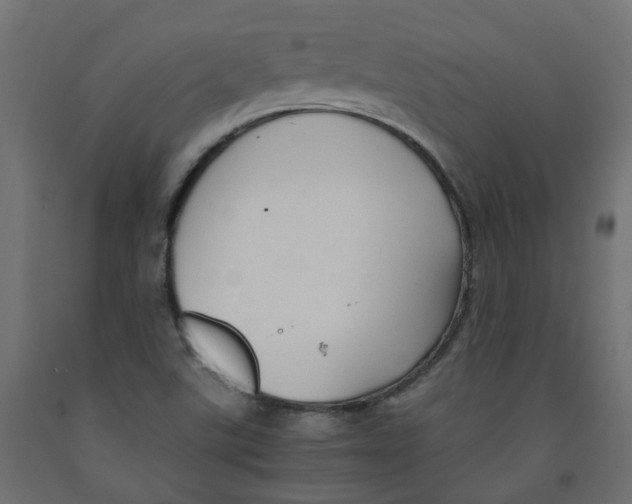 X0000091861507200710031651