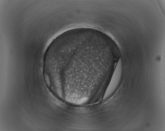 X0000091861508200710031651