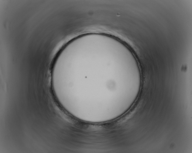 X0000091861509200710031651